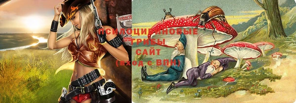 героин Алексин