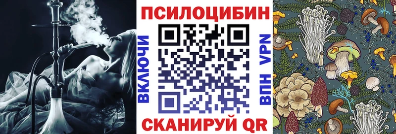 цены наркотик гидра ссылка Галлюциногенные грибы Psilocybe Долинск